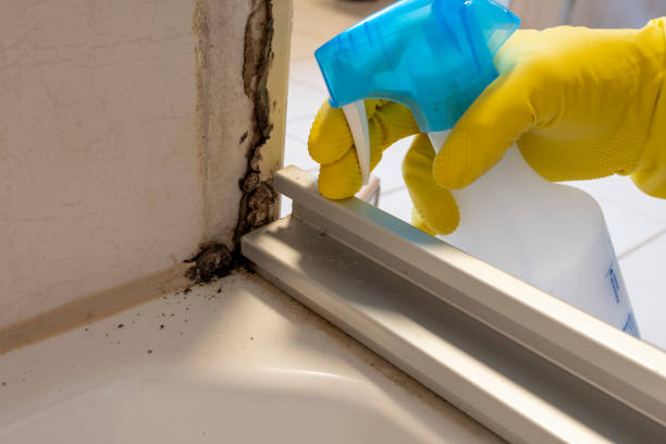 Best Mold Testing  in Elroy, NC