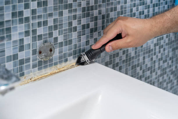 Best Commercial Mold Removal  in Elroy, NC